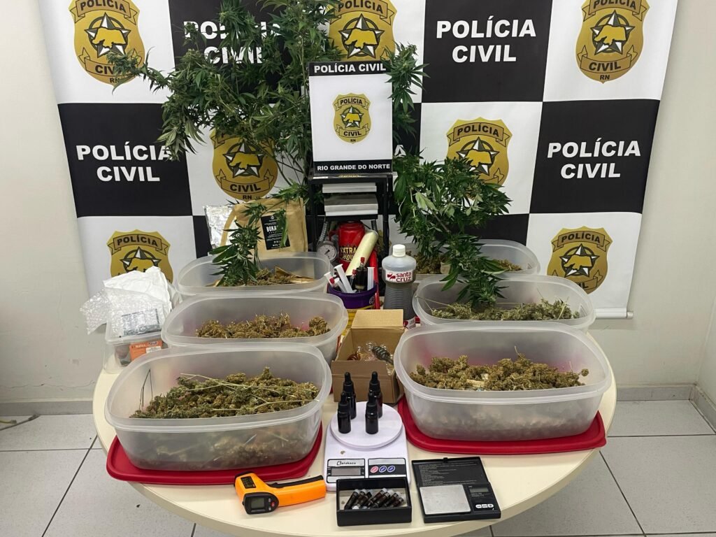 Polícia Civil apreende drogas, maquinário e utensílios para o cultivo em Natal