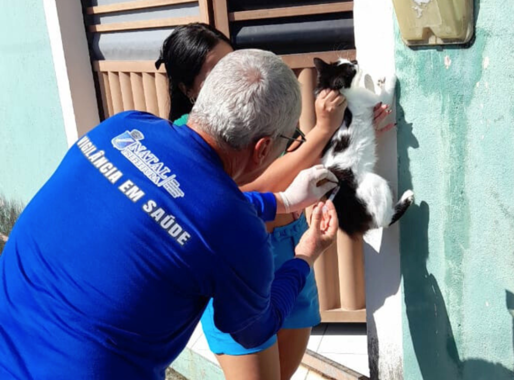 Campanha Antirrábica 2025: confira os locais de vacinação deste sábado (6)