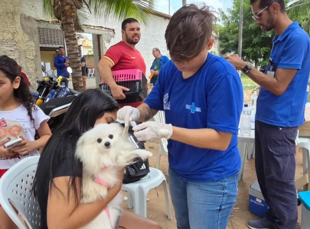 Natal prorroga Campanha Antirrábica e divulga estratégias de vacinação
