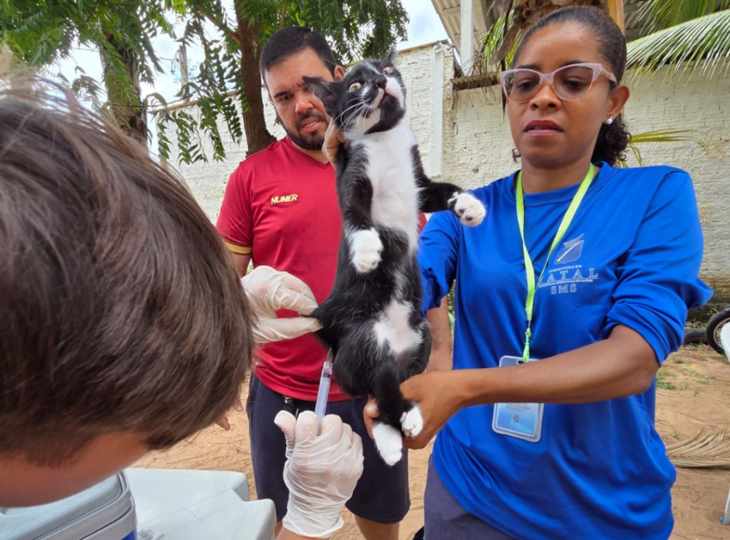 Campanha Antirrábica: veja onde vacinar cães e gatos neste sábado (11)