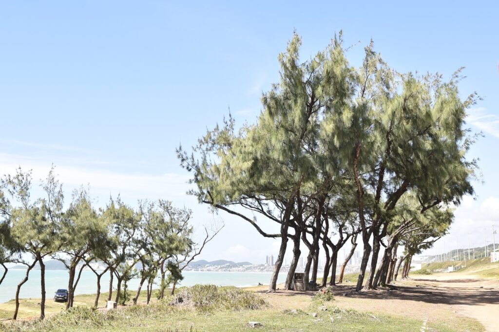 Governo do RN publica aviso de licitação para obras do Costeira Parque