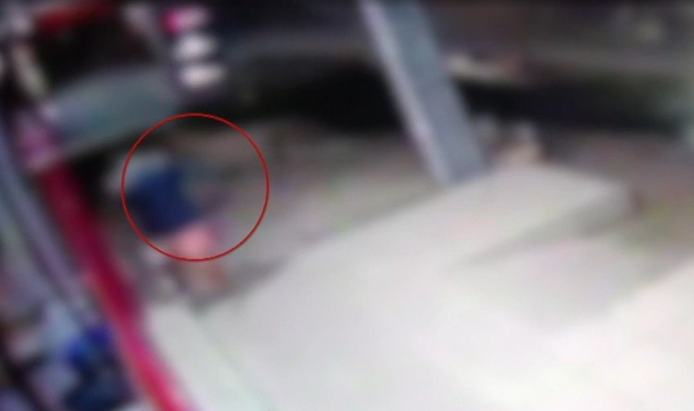 Gata comunitária é morta após agressão em Mossoró; caso será investigado