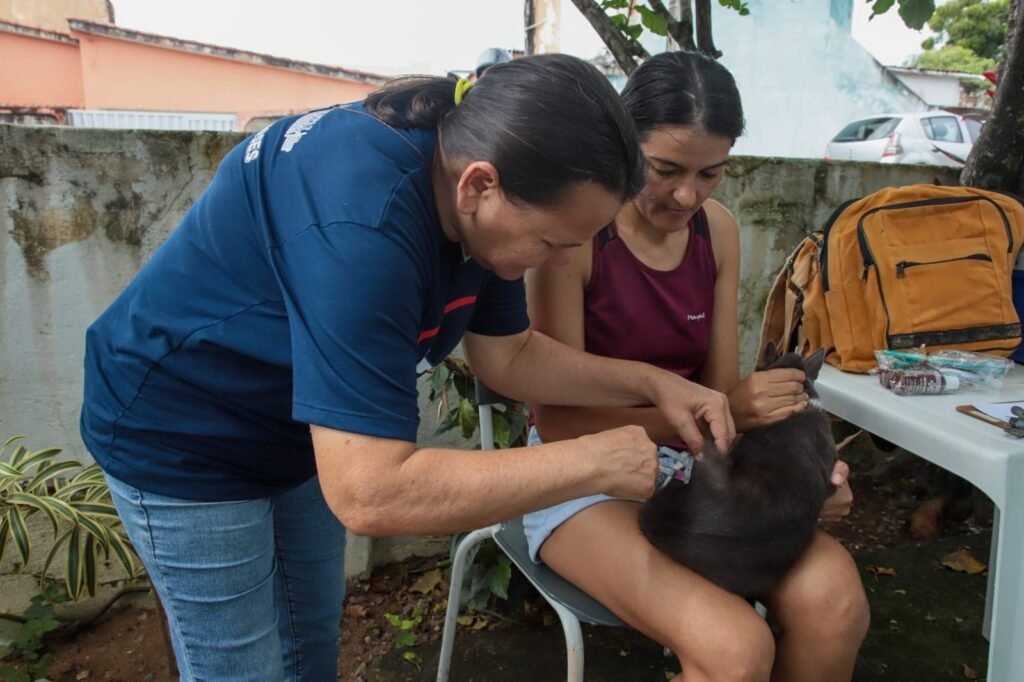 Campanha Antirrábica 2026: confira os locais de vacinação deste sábado (1º)
